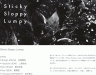 StickySloppyLumpy_img_01