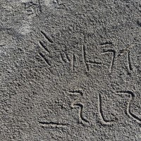 DM画像